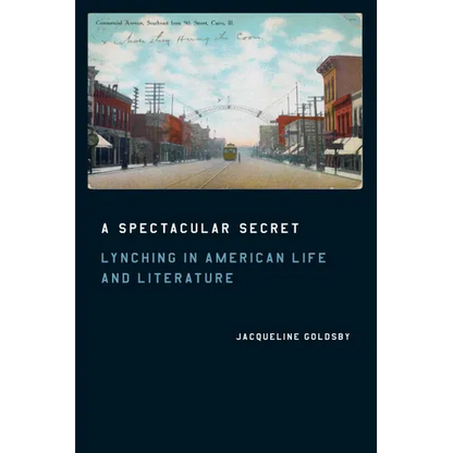 A Spectacular Secret: Lynching in American Life and Literature - Paperback