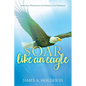 Soar Like An Eagle: Individual Psychology for Substance Use Disorders - Paperback