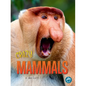 Crazy Mammals - Paperback