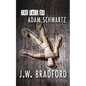 The Fall of Adam Schwartz - Paperback