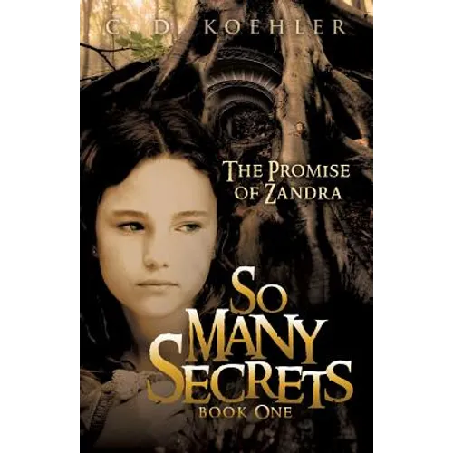 So Many Secrets - Paperback