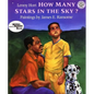 How Many Stars in the Sky? - Paperback