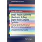 Small-Angle Scattering (Neutrons, X-Rays, Light) from Complex Systems: Fractal and Multifractal Models for Interpretation of Experimental Data - Paperback