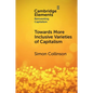 Towards More Inclusive Varieties of Capitalism - Paperback