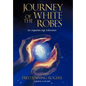 Journey of the White Robes: An Aquarian Age Adventure - Hardcover