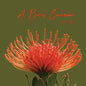 A Bush Calendar - Paperback