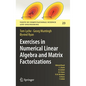 Exercises in Numerical Linear Algebra and Matrix Factorizations - Hardcover