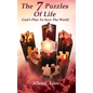 The 7 Puzzles Of Life - Hardcover