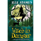 Witch in Danger - Paperback