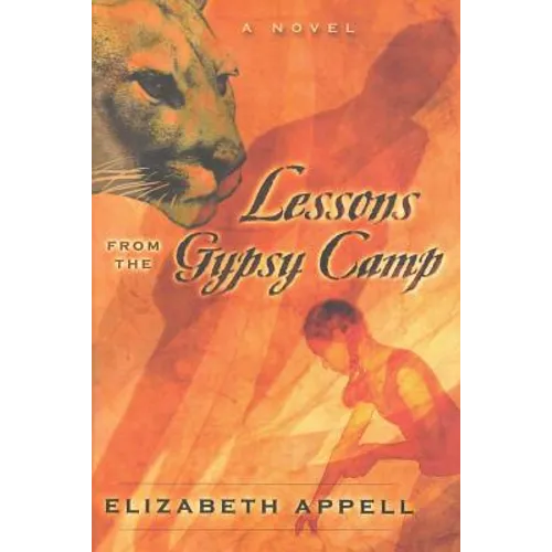 Lessons from the Gypsy Camp: Consequences - Paperback