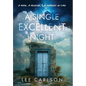 A Single Excellent Night: A Man, a Mentor, & a Moment in Time - Hardcover