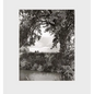 Robert Adams: Cottonwoods - Hardcover