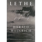 Lethe: The Art and Critique of Forgetting - Hardcover