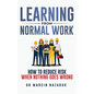 Learning from Normal Work - Hardcover
