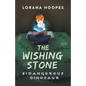 The Wishing Stone #1: Dangerous Dinosaur - Paperback