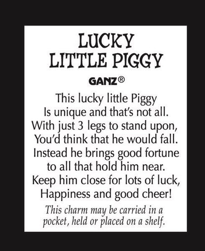 Lucky Little Piggy Charm