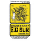 Once Upon a Time in Big Sur - Paperback
