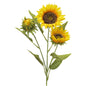 Three Bloom Sunflower Stem -