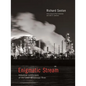 Enigmatic Stream: Industrial Landscapes of the Lower Mississippi River - Paperback