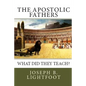 The Apostolic Fathers: What Did They Teach? - Paperback