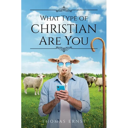 What Type of Christian Are You - Paperback