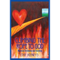 Climbing the Rope to God: Mystical Testimony and Teaching - Paperback