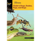 Basic Illustrated Guide to Frogs, Snakes, Bugs, and Slugs - Paperback