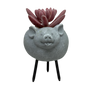 Faux Pink Succulent In Planter - Pig
