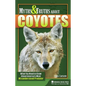 Myths & Truths about Coyotes: What You Need to Know about America's Most Misunderstood Predator - Hardcover