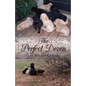 The Perfect Dozen - Paperback