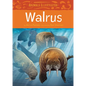 Animals Illustrated: Walrus - Hardcover