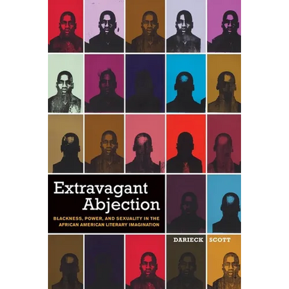 Extravagant Abjection: Blackness, Power, and Sexuality in the African American Literary Imagination - Paperback