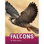 Falcons - Hardcover