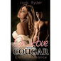 In Love with a Cougar: Erotic Romance - Paperback