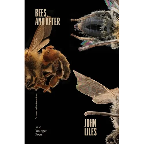 Bees, and After: Volume 119 - Paperback