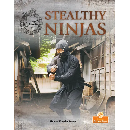 Stealthy Ninjas - Paperback