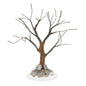 The Hardy Ash Tree