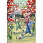 A Fairy Match in the Mushroom Patch - Paperback