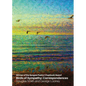 Birds of Sympathy: Correspondences - Paperback