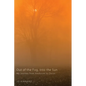 Out of the Fog, Into the Sun - Paperback