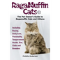 RagaMuffin Cats, The Pet Owners Guide to Ragamuffin Cats and Kittens Including Buying, Daily Care, Personality, Temperament, Health, Diet, Clubs and B - Paperback