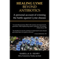 Healing Lyme Beyond Antibiotics: A Personal Account of Winning the Battle Against Lyme Disease - Paperback