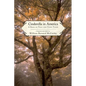 Cinderella in America: A Book of Folk and Fairy Tales - Paperback