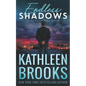 Endless Shadows: Shadows Landing #7 - Paperback