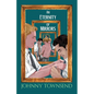An Eternity of Mirrors: Best Short Stories of Johnny Townsend - Paperback