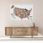 3D Wooden USA Map on Board - Terra