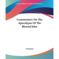 Commentary On The Apocalypse Of The Blessed John - Paperback