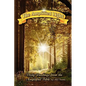The Amplified Light - Paperback