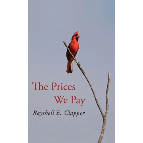 The Prices We Pay - Hardcover