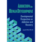 Addiction in Human Development: Developmental Perspectives on Addiction and Recovery - Paperback